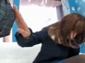 「こっち向けないで…！」童貞デカチンポを目の当たりにした素人の反応ｗｗｗｗ